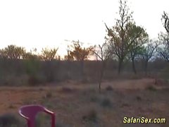 real african safari sex orgy