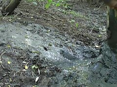 Idiot and mudding in might rivermud