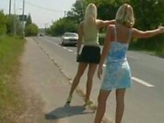 hitchhiker chicks