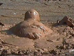 Ass Waves in Mud