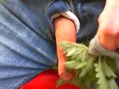 Nettles cock torture 2017