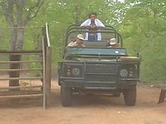 Kruger Park (1996)