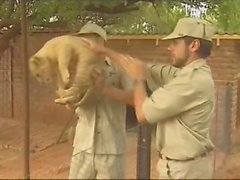 Blondie Kruger Park Private Video