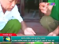 Xvideos Lua Vang bo nong dan giua cho