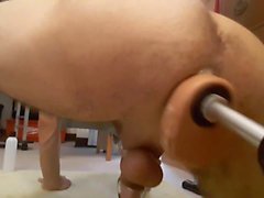 A Machine for Pigs